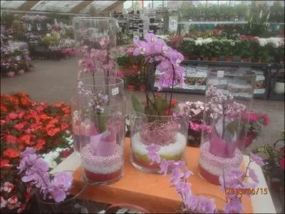 Terme d'escrime, concernant une botte de quarte, porte au flanc !