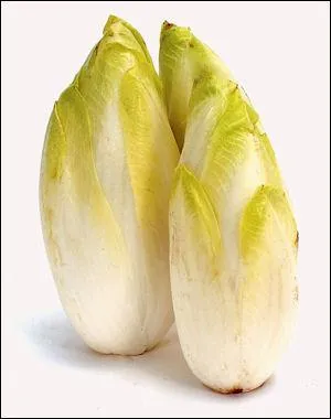 Quel est le nom de cette salade, qu'on enterre pour la cacher de la lumire ?