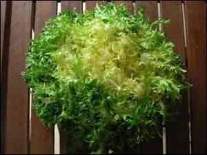 Comment se nomme cette salade, qui pourrait tre courante chez les coiffeurs ?