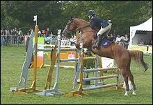 Quelles sont les disciplines questres ?