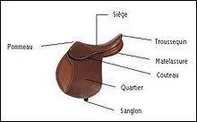 Que fait partie de la selle ?