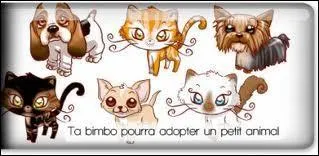 Les animaux dans ma bimbo sont  combien de BO ?