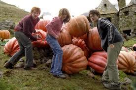 Quiz Harry potter