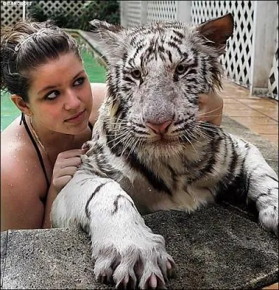 Faites un crochet par vos souvenirs, et trouvez en direct la solution !