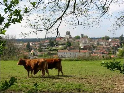 O se trouve le joli village de Vouvant riche des mmoires de la fe Mlusine, lev sur les rives de la Mre, o vous admirerez le beau portail de l'glise Sainte-Marie ?