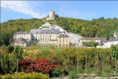 O est situ le charmant village de la Roche-Guyon, creus dans les falaises de craie, qui mle architecture d'Ile-de-France et colombages normands ?