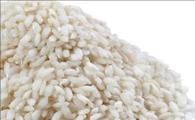 Comment s'appelle cette crale ?