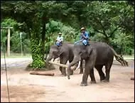 Quel est le surnom de la zone frontalire septentrionale, entre ce pays et le Laos et la Birmanie, zone de pavot, qui fournit l'opium ?