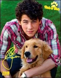 Quelle est la pointure de Nick Jonas ?