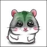 Les maladies peuvent-elles contaminer un hamster ?