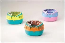 Que faut-il faire quant-on part en voyage (plusieurs rponses possibles)