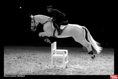 Quel tablissement questre franais est reconnu pour avoir ses cavaliers toujours habills en noir ?