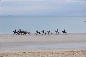 Quel type de balade n'existe pas ?