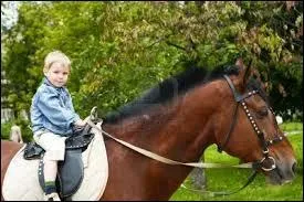 A quel ge est-il possible de monter dans les normes ?