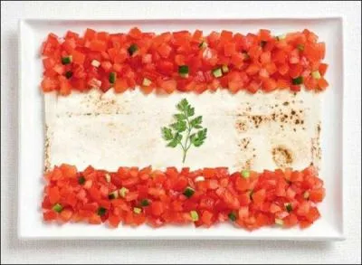 Je suis limitrophe avec la Syrie, j'ai pour nom :