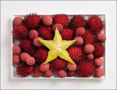  quel pays appartient ce drapeau ?