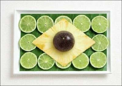 La Coupe du Monde de football de 2014 se passera dans ce pays :