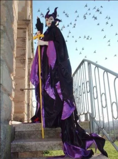 Comment se nomme cette fe malfique qui possde un corbeau ?