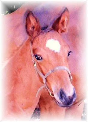 Juste une trace c'est ...