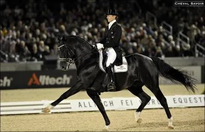 Quelle est cette figure de dressage ?