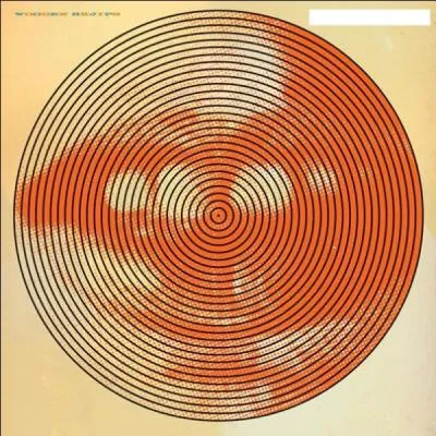 Comment s'apppelle ce single sign Wooden Shjips ?