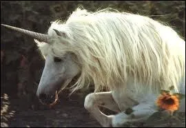 Comment se nomme cette crature ?