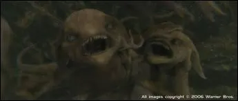 Comment se nomme cette crature ?