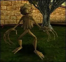 Comment se nomme cette crature ?