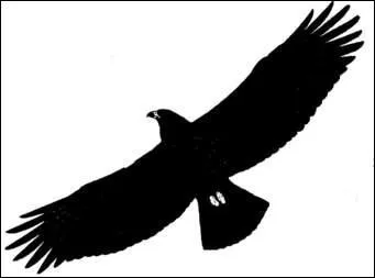 Chanson autobiographique :  Un beau jour, ou peut-tre une nuit, prs d'un lac, je m'tais endormie ...  