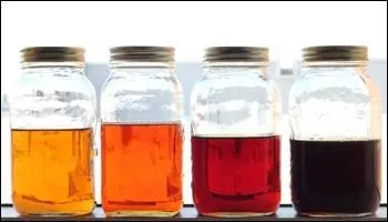 Vous aurez du sirop d'rable sur votre table et pourrez aussi le faire couler  profusion entre deux baisers collants  votre amoureuse. Combien y a-t-il de sortes de sirops (la photo n'est pas rvlatrice) ?