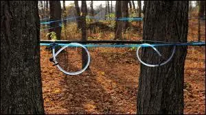 Pendant que nous nous rgalons, dehors, que font ces tuyaux ?