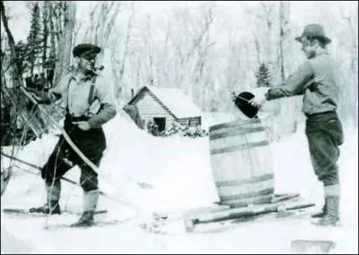 Mais d'abord nous ferons un tour de la place et les propritaires nous demanderont comment on le rcoltait autrefois. Qu'avait-on dans les pieds pour se promener et rcolter ?