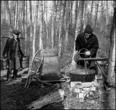  quel sicle passe-t-on des mthodes archaques d'entaillage  la hache,  une faon plus moderne de rcolter ?