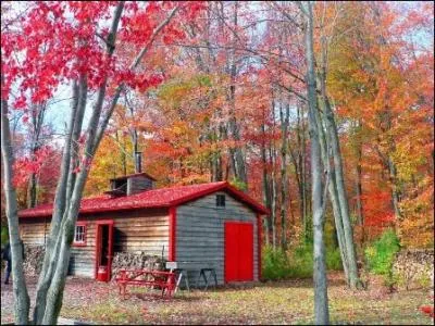 Pour dguster nous nous dirigeons  ... ?