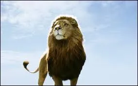 Quel tome vient ensuite dans l´ordre de parution ?