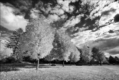 Qui chantait  Quand revient le vent de l'automne je pense  tout ce temps perdu, je n'ai fait de mal  personne je n'ai pas fait de bien non plus  ?