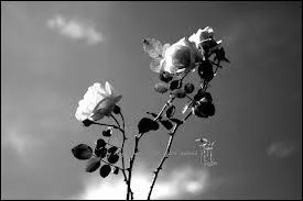 Je n'en reviens pas ! c'est  dire ...