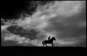 Selon une expression connue qu'est-ce qui revient au galop quand on le chasse ?