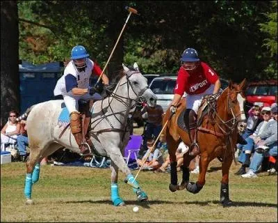 De combien de joueurs se compose une quipe de polo ?
