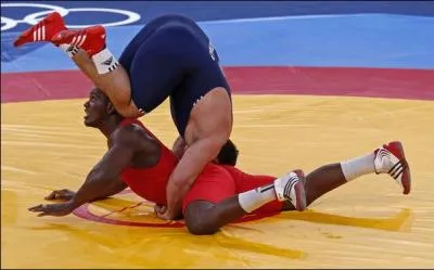 Quel est le nom de ce sport ancestral, qui consiste  faire toucher les paules  l'adversaire ?