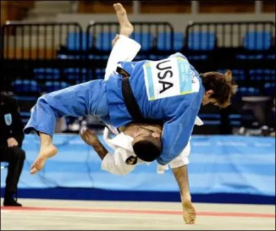 Quel est ce sport d'origine japonaise, o des franais tels David Douillet ou Teddy Riner ont brill ?
