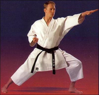 Comment s'appelle ce sport de combat japonais utilisant les pieds et les poings et comprenant de multiples variantes : shotokan, goju-ryu ... ?