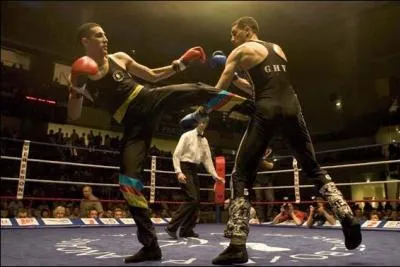 Quel est le nom de ce sport, appel familirement la  savate  ?