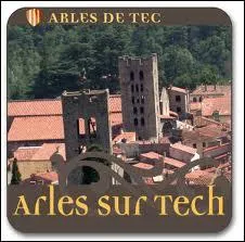 La commune d'Arles-sur-Tech ( Pyrnes-Orientales ) est chef-lieu ...
