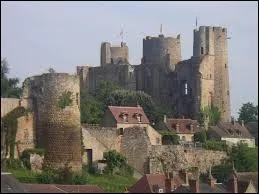 La ville de Bourbon-l'Archambault ( Allier ) est chef-lieu ...