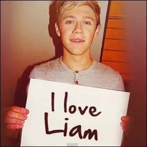 Le deuxime prnom de Niall et Liam est :