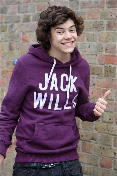 Harry s'est fait tatouer un papillon pour :