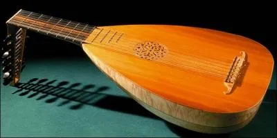 Quel est cet instrument de musique ?