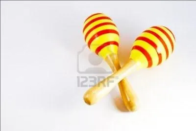 Quel est cet instrument de musique ?