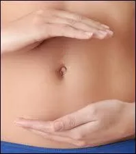 Quel est l'autre nom du nombril, cette cicatrice de naissance laisse par la chute du cordon ombilical du nouveau-n ?